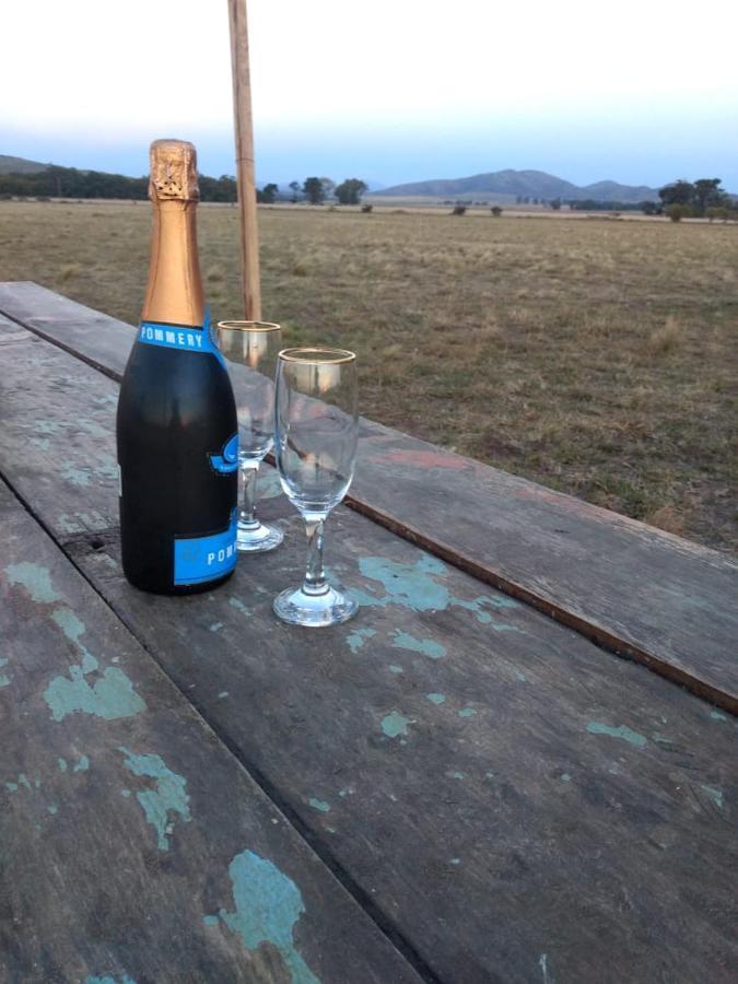Vittorio, En Llohue Villa Villa Ventana Eksteriør bilde